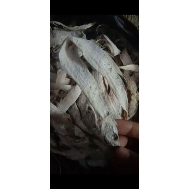

ikan layur asin