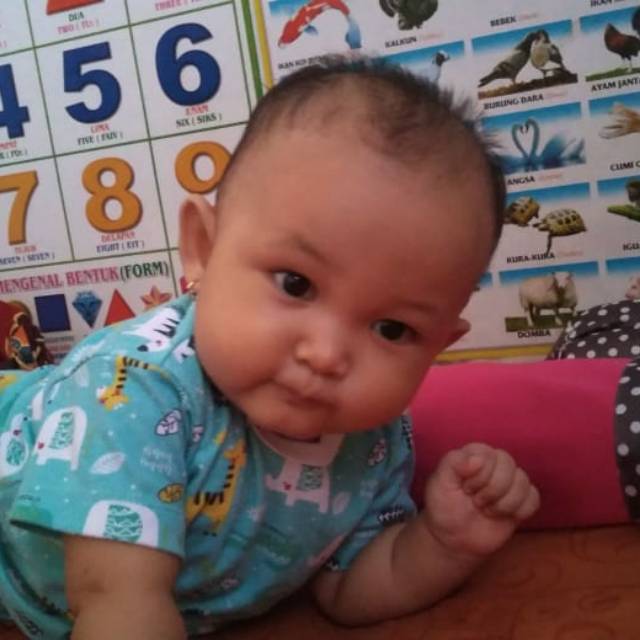soleh_fanani