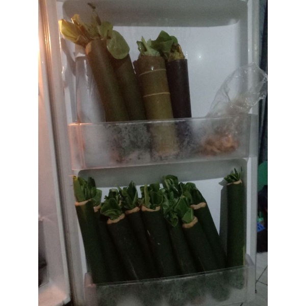ulat bambu/cangkilung
