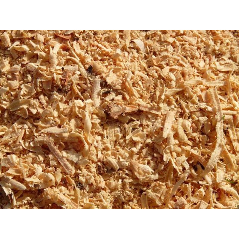 

serbuk kayu kesehatan