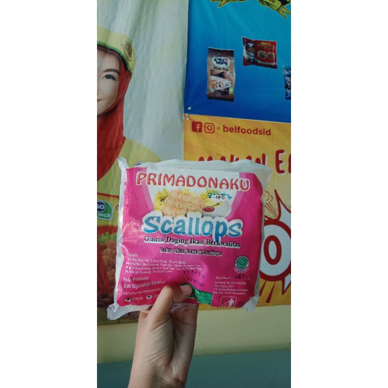 

PRIMADONAKU SCALLOP