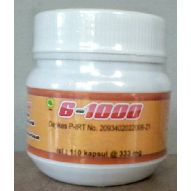

G-1000