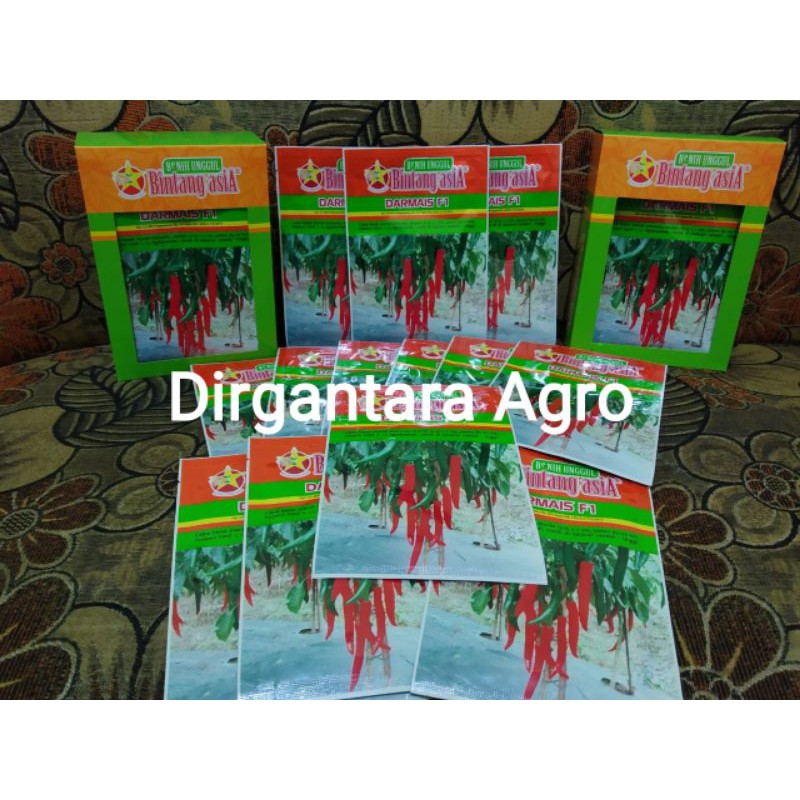 Hot Produk Cabai besar Darmais F1