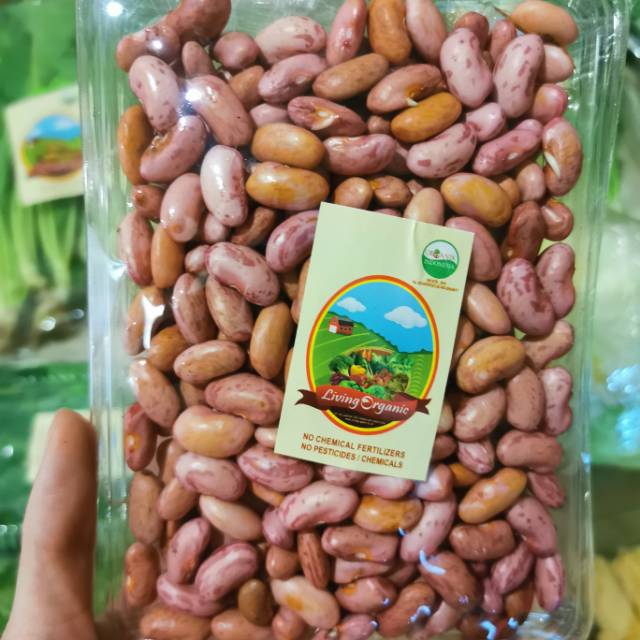 

Kacang Merah Jogo Organik || 200gr || Red Bean Organic Sayuran