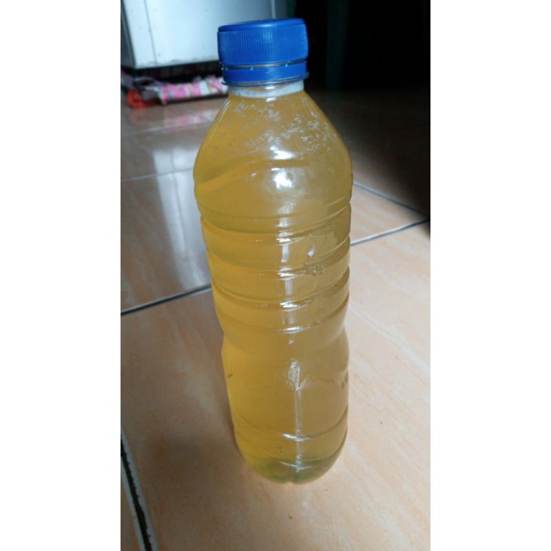 

MADU ASLI/ALAMI TANPA CAMPURAN 100% ORIGINAL
