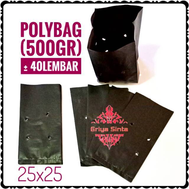 Polybag 25x25
