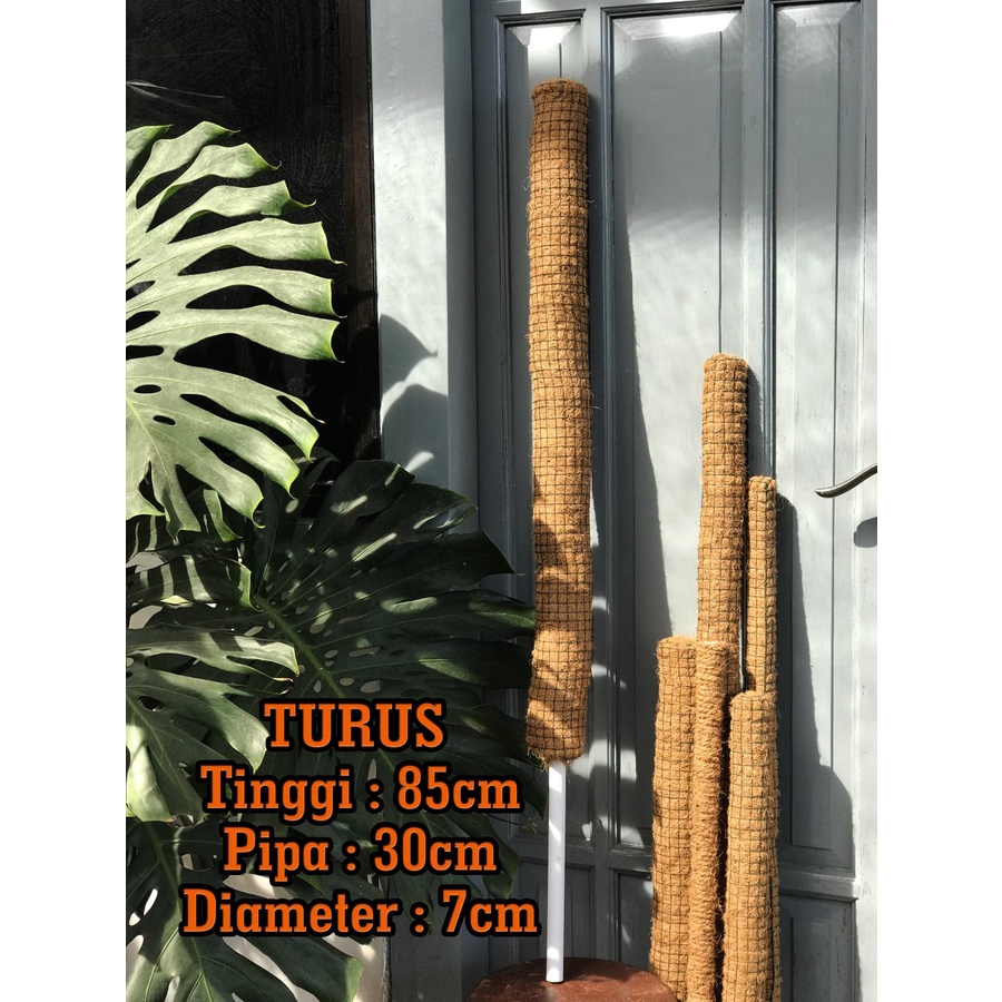 Turus Pipa Sabut Kelapa diameter 7cm tinggi 115cm