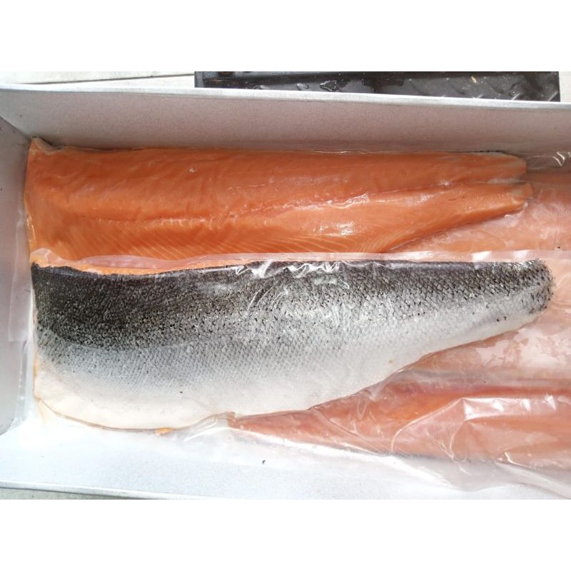 

Ikan Salmon Fillet Trout