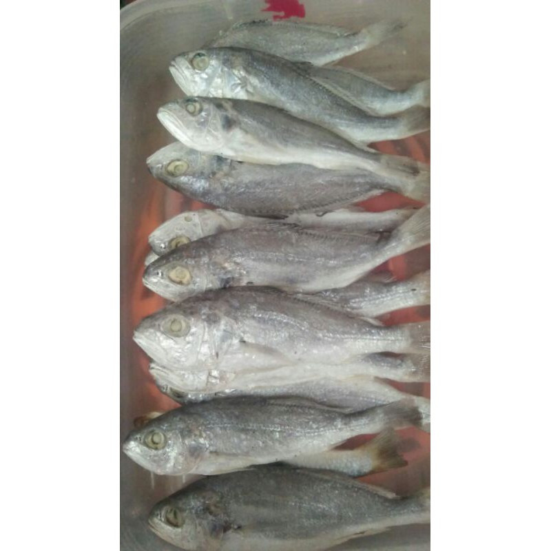 

IKAN ASIN