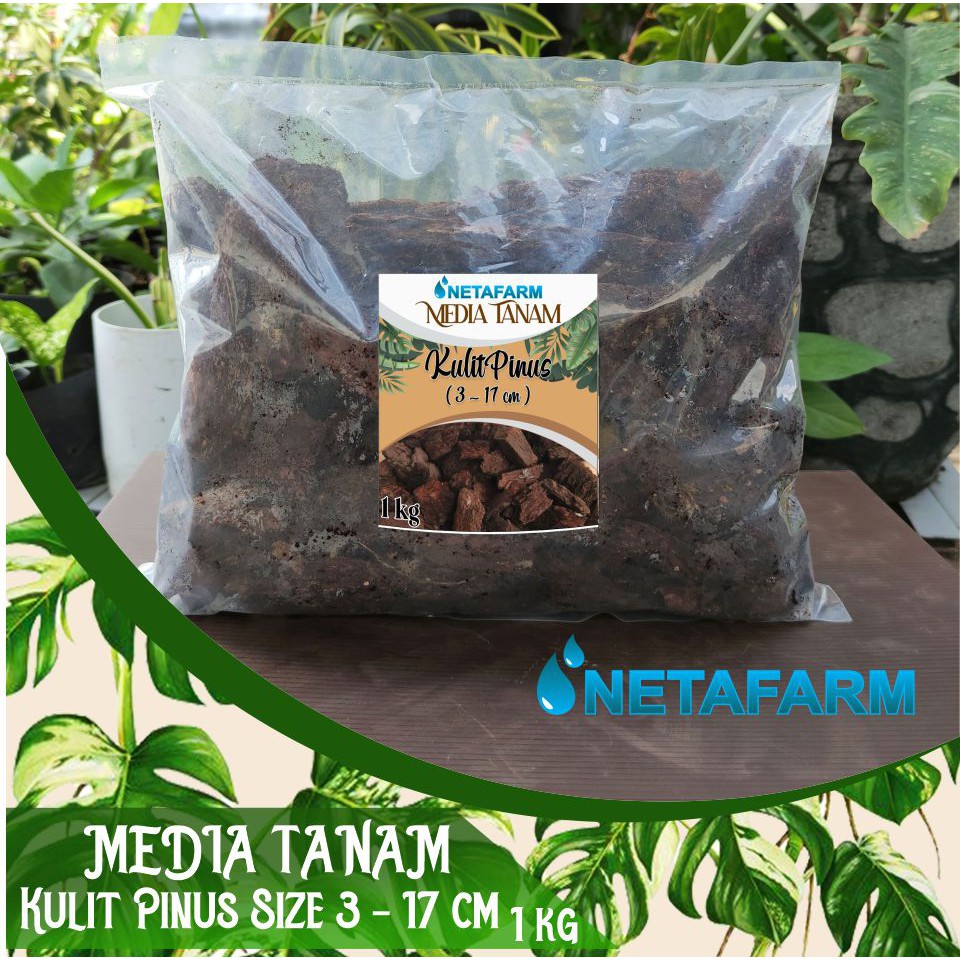 Media Tanam Kulit Pinus cacah PINE BARK ( 3 - 17 cm ) - 1 kg