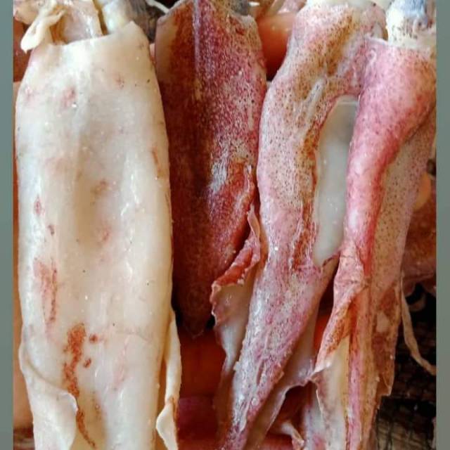 

CUMI ASIN balita/tanggung 1kg