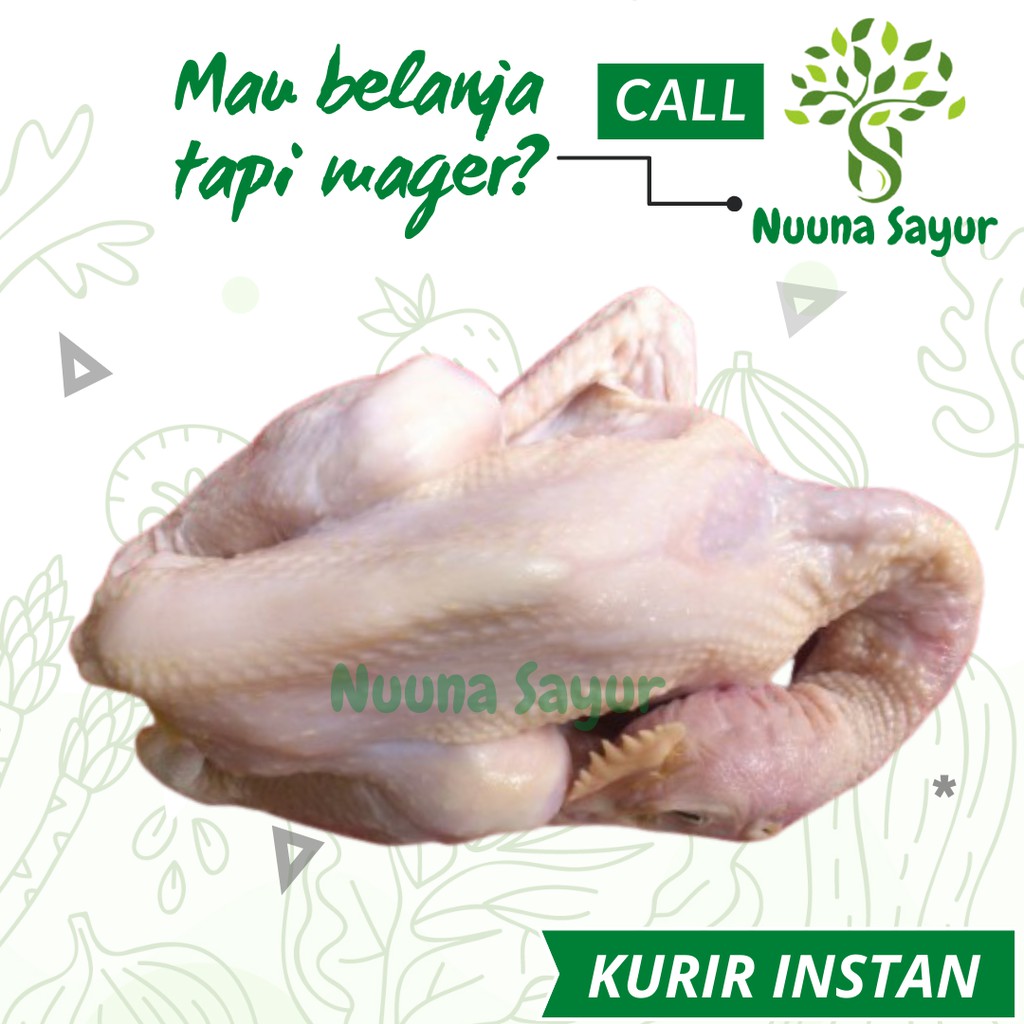 

AYAM PEJANTAN SEGAR POTONG FRESH SATU EKOR