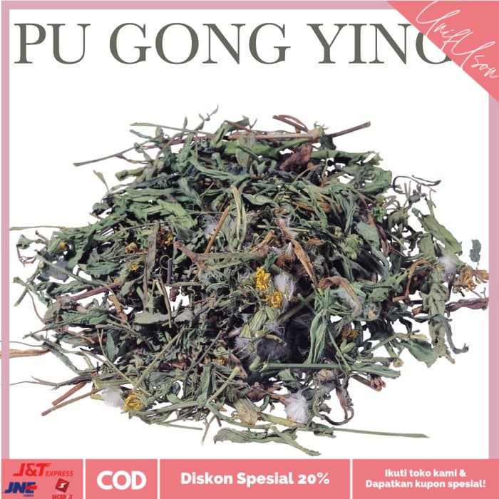 

⭐COD⭐ Pu Gong Ying 1kg - Teh Dandelion Herbal Tea Diuretik Ginjal Liver