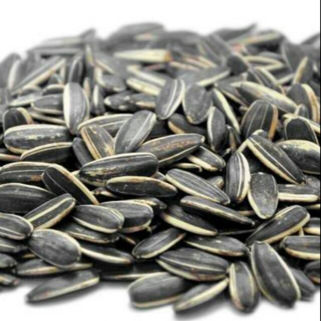 

Kuaci 250 gr