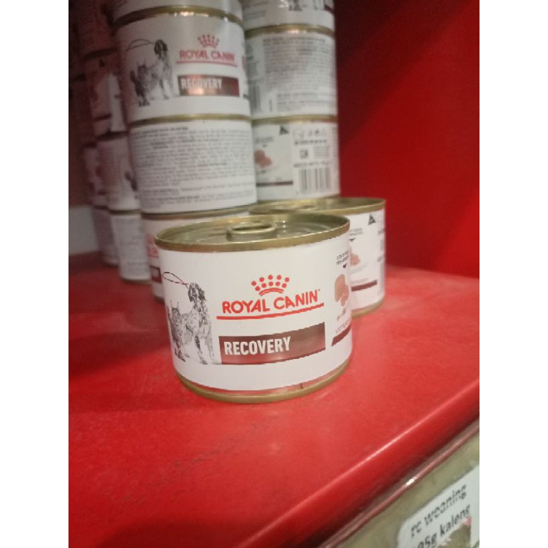 Royal canin Recovery makanan basah kucing 195 g terlaris