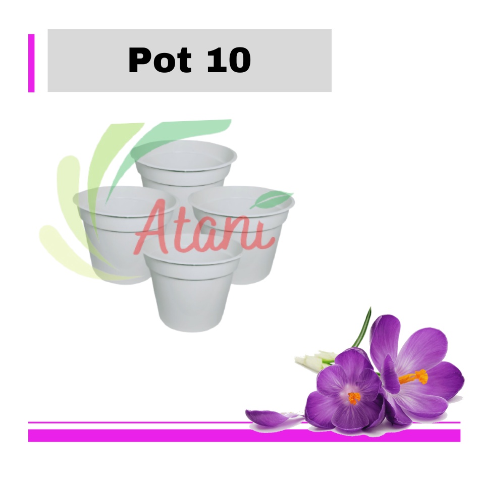 Pot 10 Putih - Pot Bulat Mini Plastik Kecil Bisa Untuk Vas Bunga Kaktus Sukulen Pot Bunga 10 cm Putih Polos POT 10 POLOS MENGKILAP MEWAH MURAH
