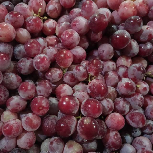 

Anggur merah import
