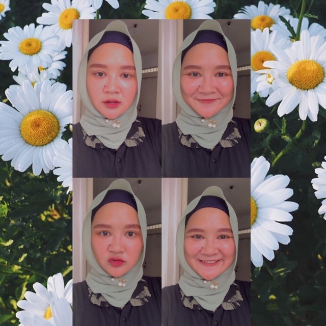 diniprbw