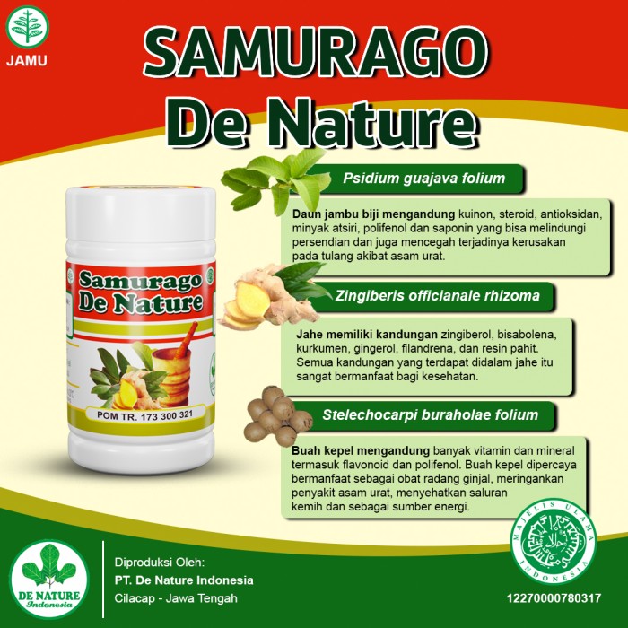 

Obat Asam Urat Pegal Linu Encok Herbal Samurago De Nature Asli