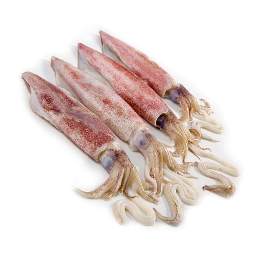 

Cumi sedang / 500 Gram