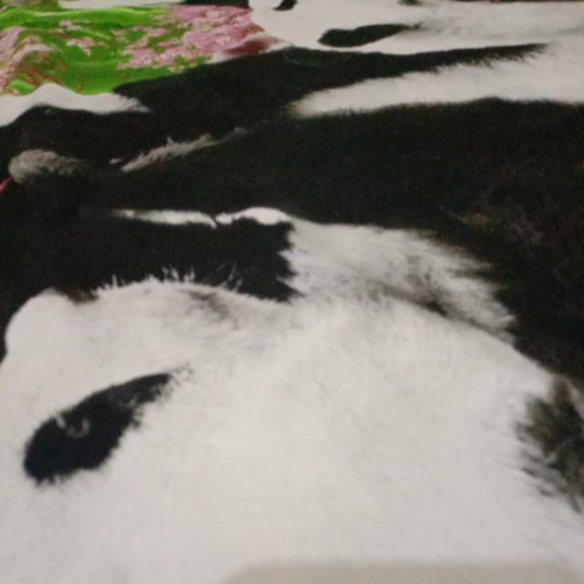 Kemeja Batik Lengan Pendek Hrb026 Kenongo Hem Pendek Padi Murah Keren M L Xl Batik Pria Wajik Biru