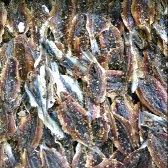 

DENDENG IKAN MANIS 1 kg