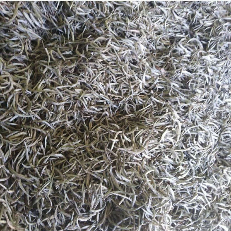 

white tea/teh putih kemasan 250gr