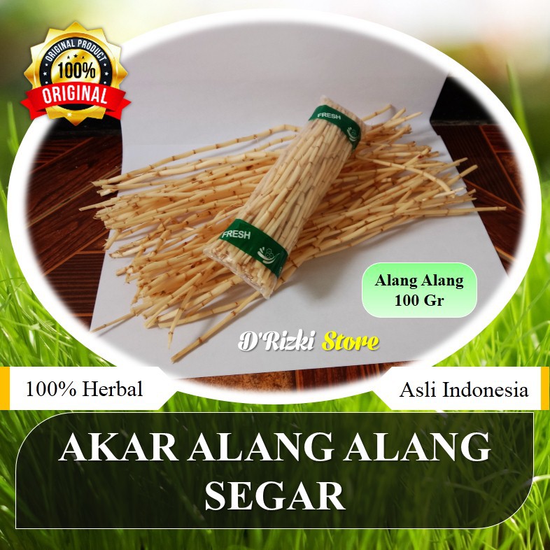 

Akar Alang Alang Segar Bersih 100 Gram Obat / Jamu Herbal Tradisinal / Akar Ilalang