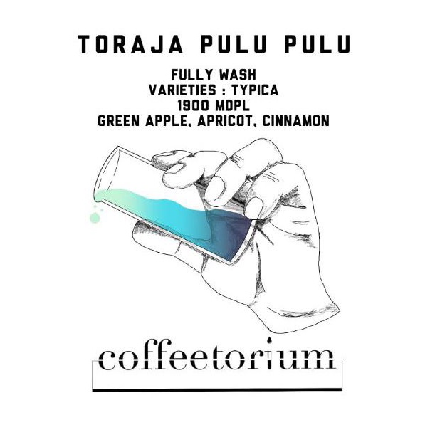 

Toraja Pulu-pulu - Fully wash - Specialty Coffee