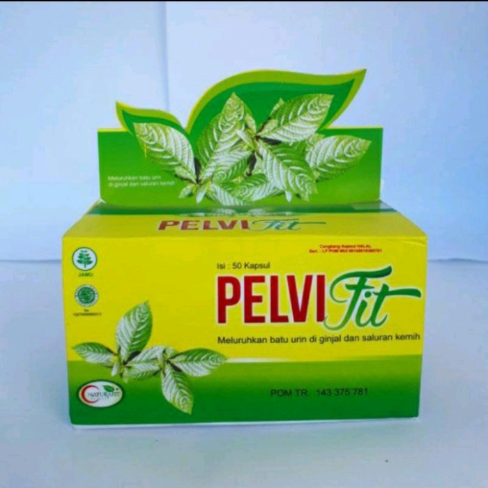PELVIFIT NATURAFIT OBAT SAKIT GINJAL HERBAL 50KAPSUL TERLARIS