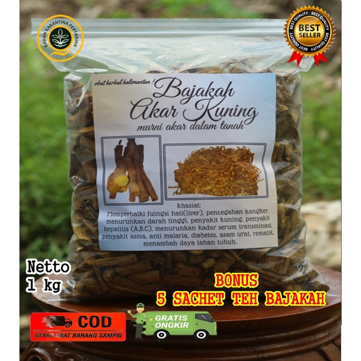 

AKAR BAJAKAH/BAJAKAH KUNING KUALIATAS TERBAIK ASLI KALIMANTAN