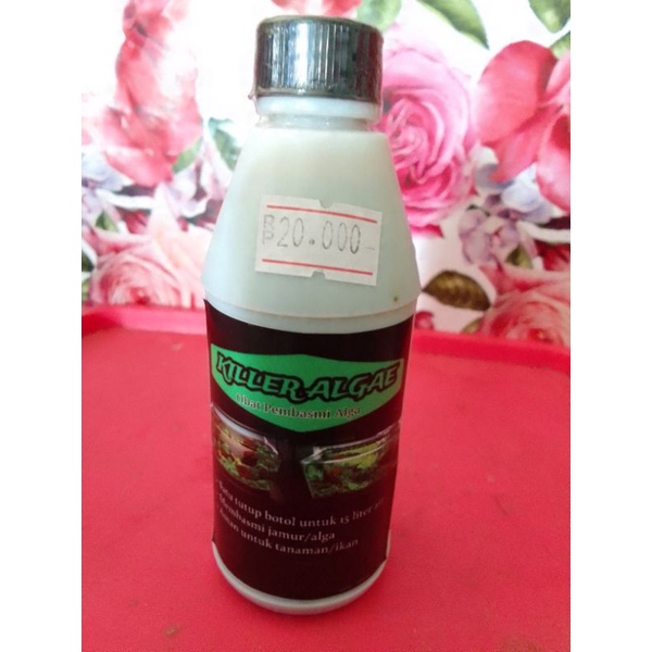 Jual Cairan Pembasmi Algae Lumut Shopee Indonesia