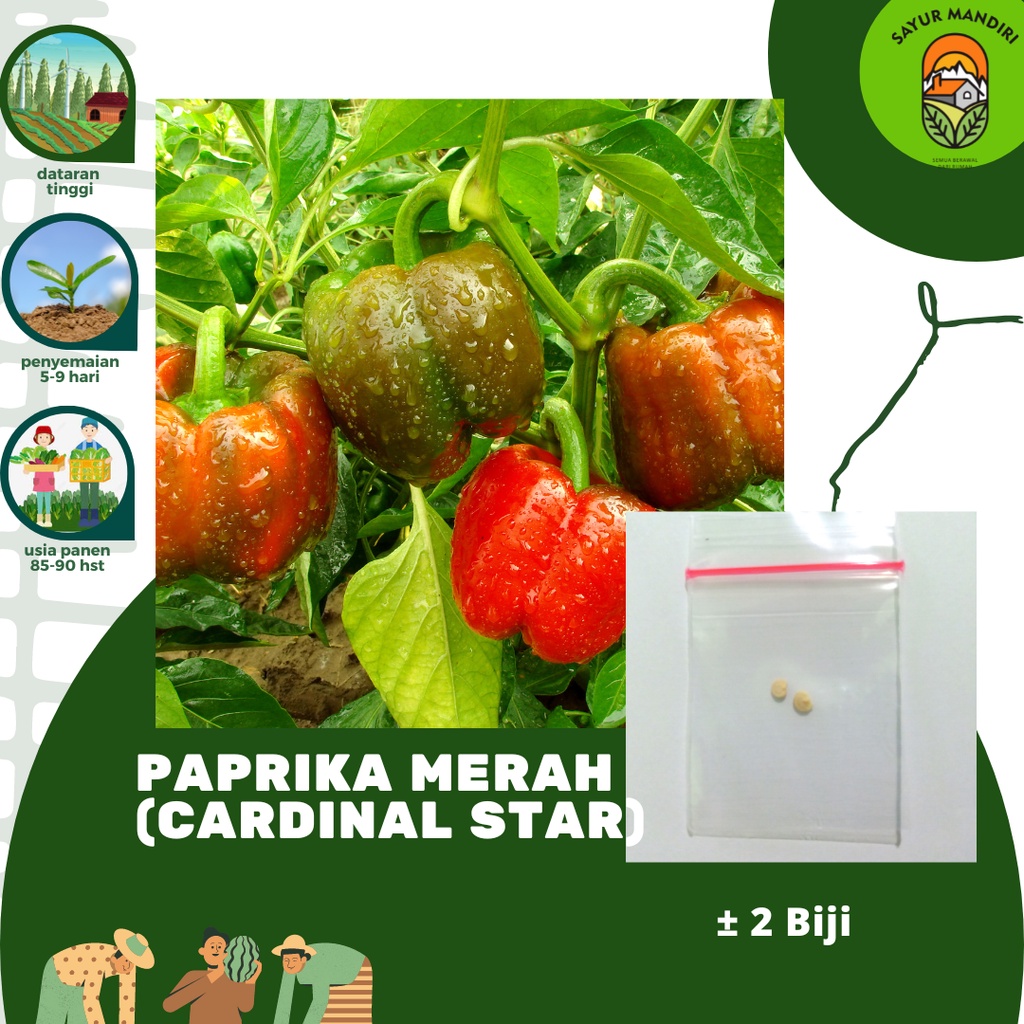 Benih Paprika Lengkap Serba Seribuan