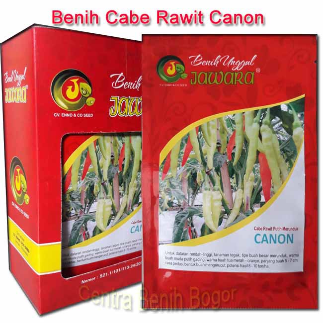 Benih bibit cabe rawit putih CANON 10 gram-bibit cabe rawit,cabe rawit pedas