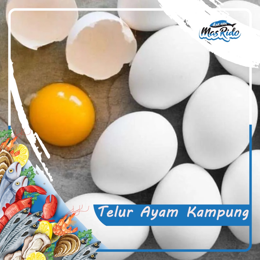 

Telur Ayam Segar Kampung Asli Telor Ayam Kampung Fresh Kwalitas Super Harga Murah