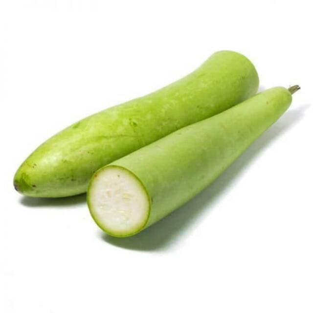 

labu sayur segar