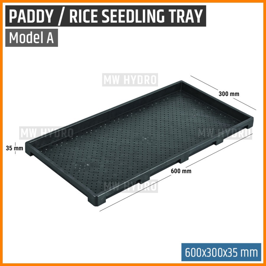 Paddy / Rice Seedling Tray, Tray Semai Bibit Padi / Microgreen - A