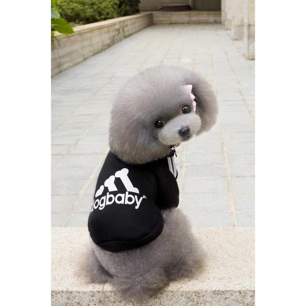 Pet Clothes AdiDog Baby - Jacket/ Baju Anjing &amp; Kucing Adidog.