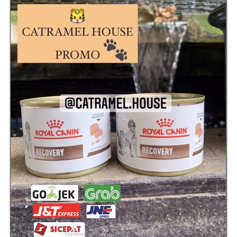 ROYAL CANIN RECOVERY KUCING /ANJING