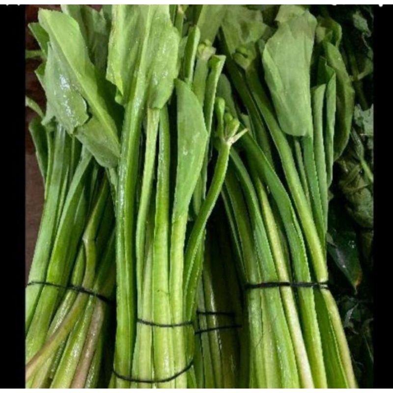 

daun genjer 1 ikat sayur fresh segar