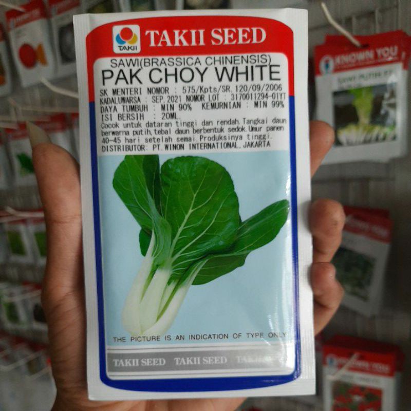Benih Bibit Pekchoy PAK CHOY WHITE (20ml)