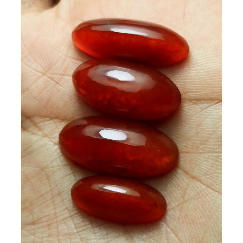 PANDAN MERAH SIZE KANTOR BORONGAN