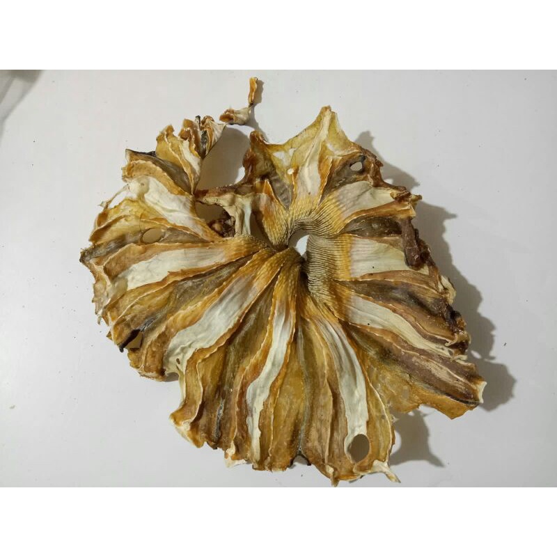 

Ikan Pare Kering Tipis