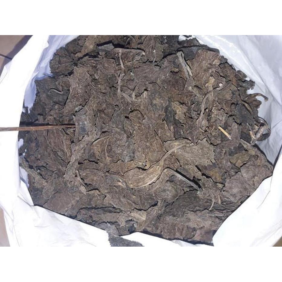 

Daun ungu kering 1/2 kg Herbal Alami