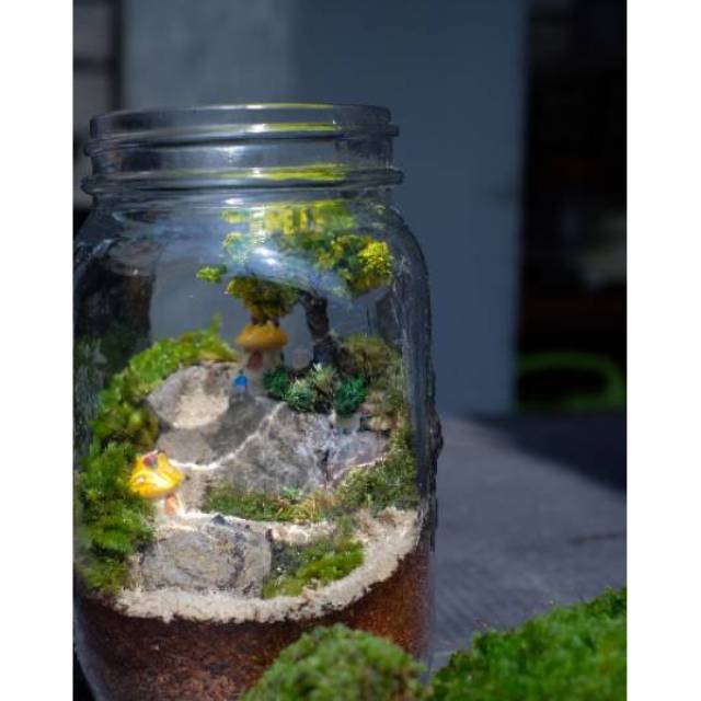 Jual Terrarium (Bahan) Shopee Indonesia