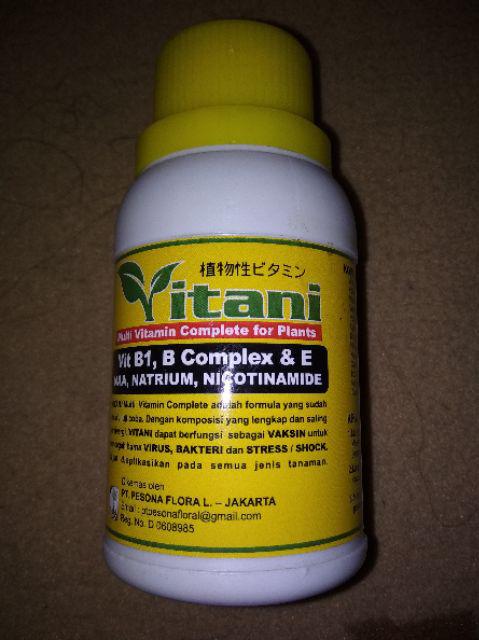 Inilah Manfaat Vitamin B Complex Untuk Tanaman 