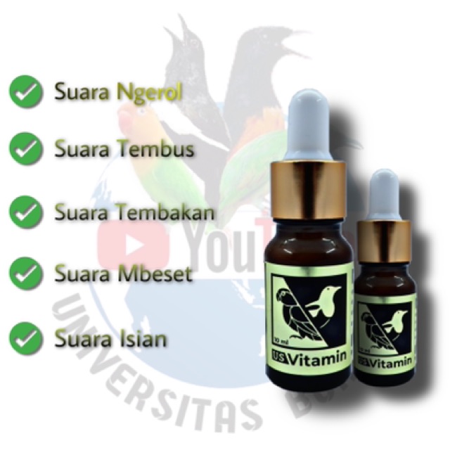 Vitamin US original obat vitamin burung kicau lovebird murai kacer cucak ijo cendet