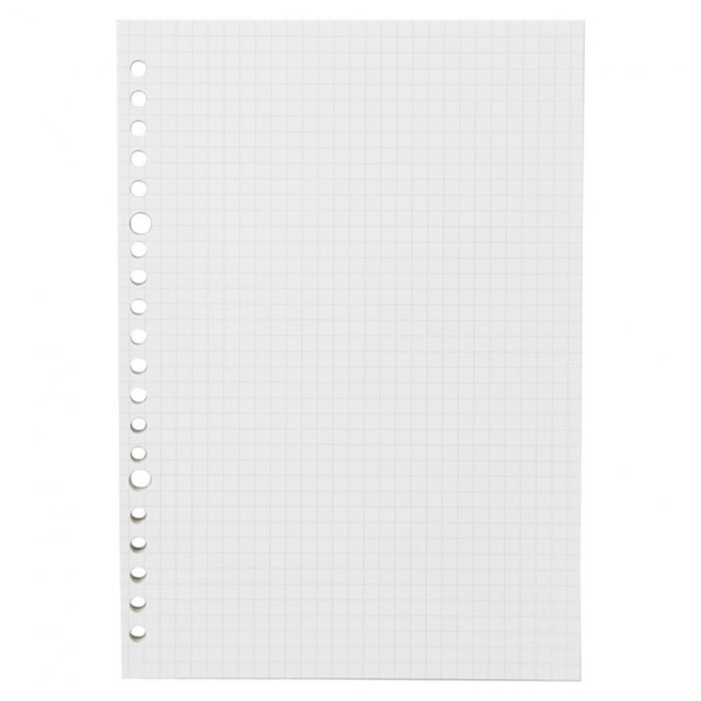 

Muji Grid Loose Leaf