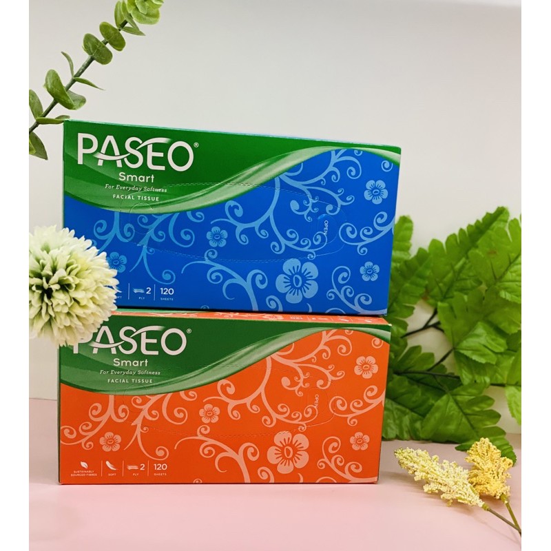 TISU PASEO BOX KOTAK 2PLY 120SHEETS