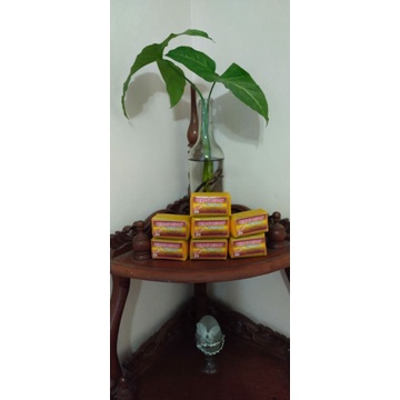 

Trasi udang asli juwana